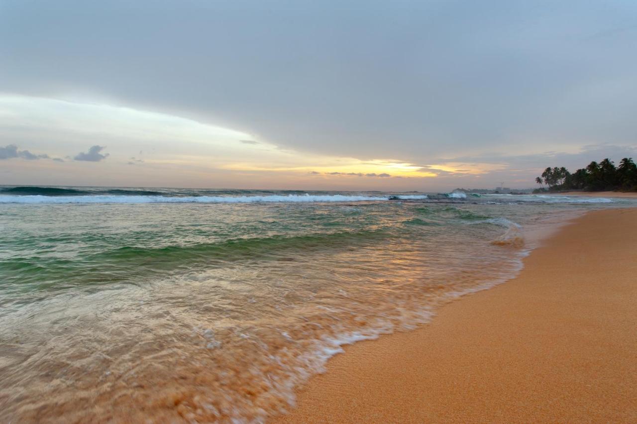 مبيت وإفطار أونا واتونا Isle Of Thalpe المظهر الخارجي الصورة