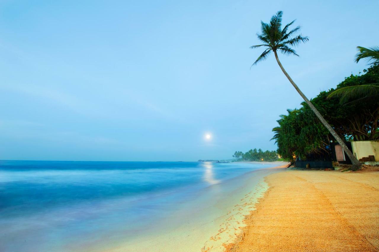 مبيت وإفطار أونا واتونا Isle Of Thalpe المظهر الخارجي الصورة